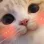catblush2