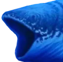 POGFISH POGFISH