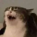 ehehe