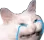 Cryingcat Cryingcat