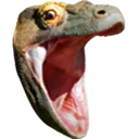 pog
