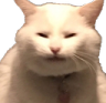 ch_shalom Discord emoji