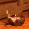 ch_workout