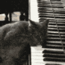 ch_piano Discord emoji