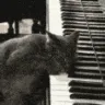 ch_piano ch_piano