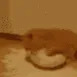ch_silly