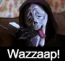 1wazzap