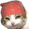 cat_hehe