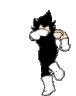 dancevegeta