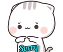Sorry