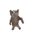 theskinwalker