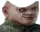 bruh bruh