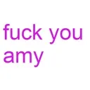 fuckyouamy