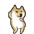 DogePls