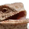 heheh