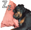 Sleeping_dog Discord emoji