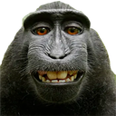 monkey_smile Discord emoji