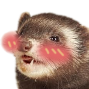 ferretoblush Discord emoji
