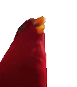 wuewuewue Discord emoji