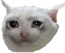 SadCat SadCat