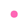 pi_pontorosa