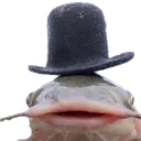 Brish