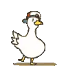 duckydance
