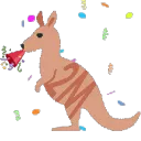 2mkangaroo