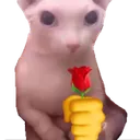 binglove
