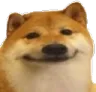 QB_cuoi