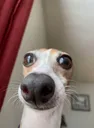 emoji_52 emoji_52