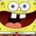 sponge sponge