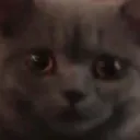bruh