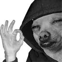 dogofacceptance dogofacceptance