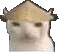 cncat