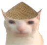 chinacat chinacat