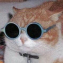 cool_cat Discord emoji