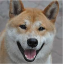 DOGE Discord emoji