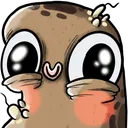 cute