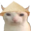 chinacatbruh