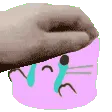ProvSadPat
