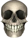 a_skull_shiny