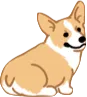 corgi