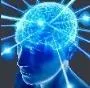 prism_brain