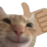 catthumbsup