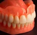 teeth
