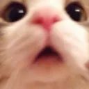 wah