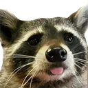 TrashPandaBlep Discord Emoji