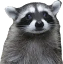 SadTrashPanda Discord Emoji