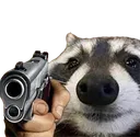RaccoonGun